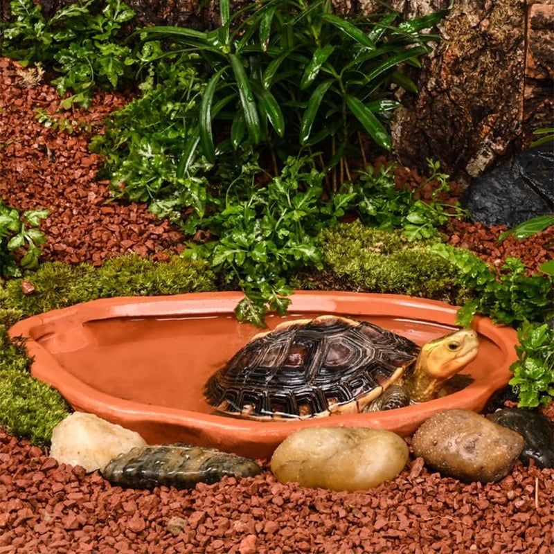 Flushbay Extra Large Reptile Bathing Pool Tortoise Bathing Pool Reptile Feeding Dish Water Bath Bowl Aquarium Ornament for Gecko, Snake, Turtle, Bearded Dragon, Lizard Bath (Red Pottery) - Image 1